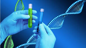 Tại sao xét nghiệm NIPT sử dụng mẫu máu để đo hàm lượng ADN?
