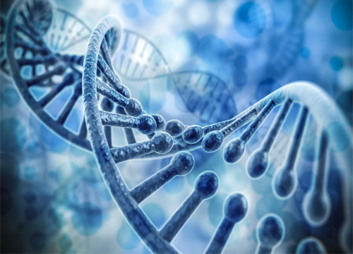 Methods for detecting and identifying DNA using PCR technique in Vietnam