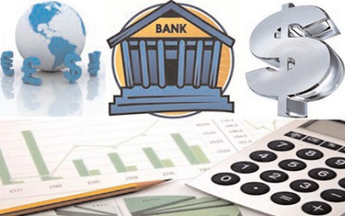 Trách nhiệm kiểm tra, rà soát, đánh giá các hoạt động tại tổ chức tín dụng