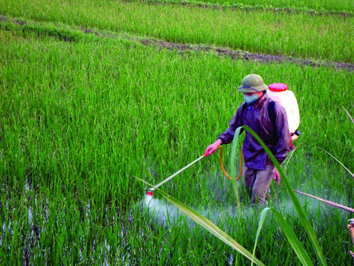 Danh mục 08 loại thuốc bảo vệ thực vật được phép sử dụng trong nông nghiệp