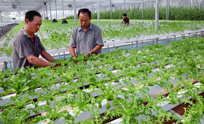 Phát triển nông-lâm-thủy sản theo phương hướng HĐND tỉnh Thanh Hóa