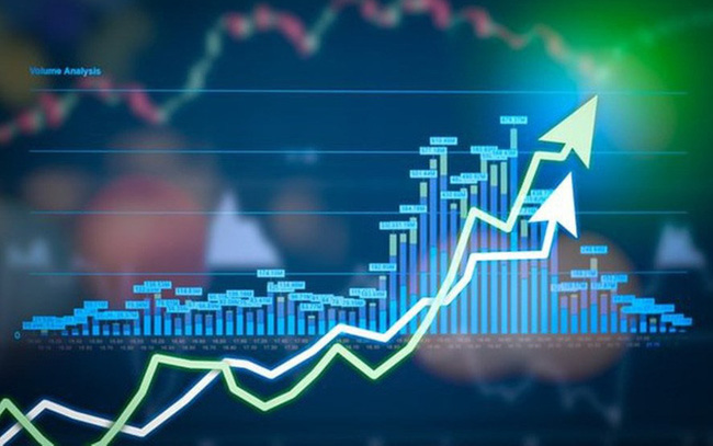 Administrative penalties for violations of regulations on operation of Vietnam-based branches of foreign fund management companies