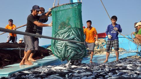 What does the application for assistance for fishermen to purchase and build new fishing vessels in Vietnam include?