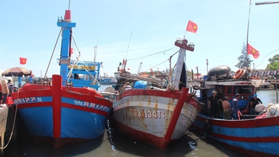 Assistance policy for citizens replacing ship engines for fishing activities in Vietnam