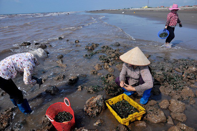 Cấp phát ngân sách hỗ trợ ngư dân khai thác hải sản 