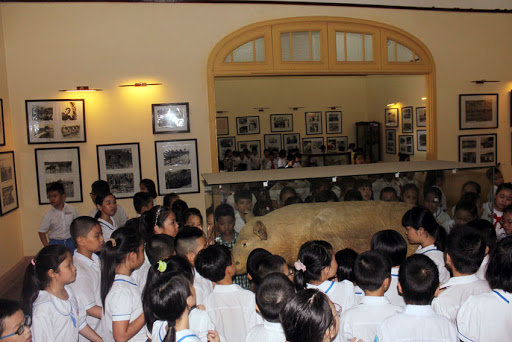 Regulations on educational and communication activities of museums in Vietnam