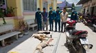 How does Vietnam’s law deal with dog thieves?