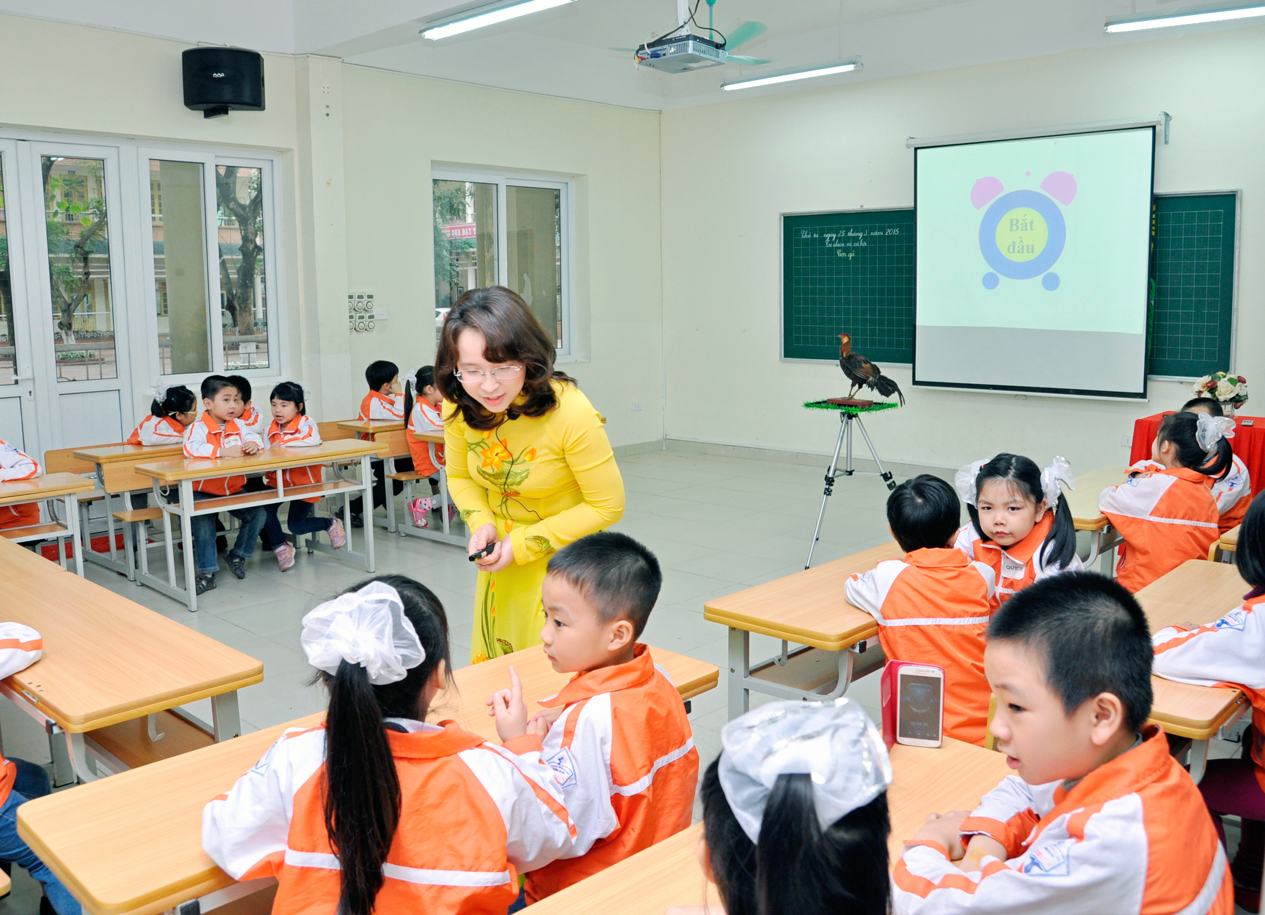 Private schools with two or more contributing partners in Vietnam must have a Board of Directors