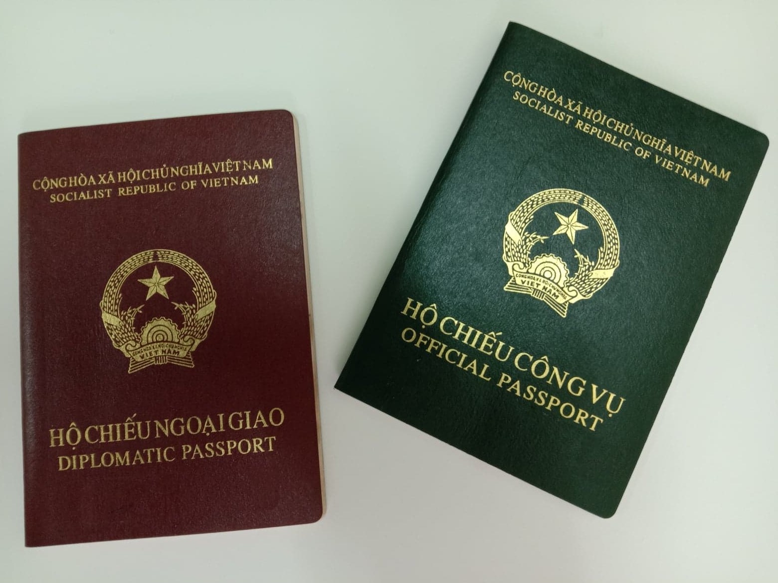 Hướng dẫn đề nghị cấp hộ chiếu ngoại giao, hộ chiếu công vụ ở nước ngoài