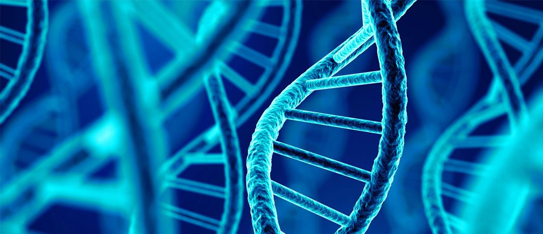 Sự kiện chuyển gen là kết quả của quá trình tái tổ hợp ADN