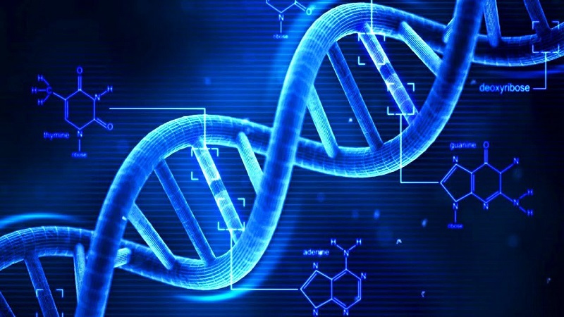 04 nguyên tắc đánh giá rủi ro của sinh vật biến đổi gen