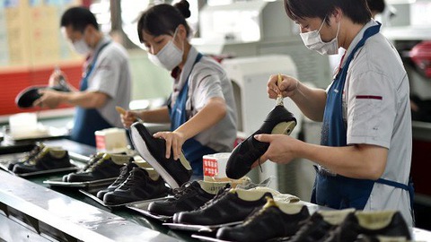 An overview of college program of the “Leather and Footwear Technology” in Vietnam