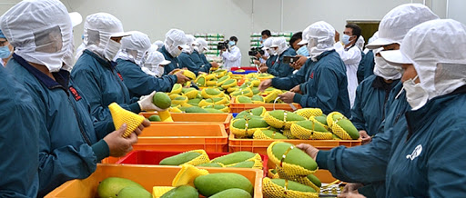 Từ Hiệp định EVFTA, nông sản Việt Nam có những cơ hội và thách thức thế nào?