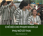 Regimes toward pregnant female inmates in Vietnam from December 25, 2020