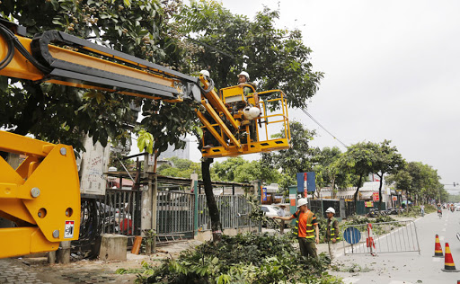 To control the process of pruning urban trees to ensure safety in Vietnam's rainy season