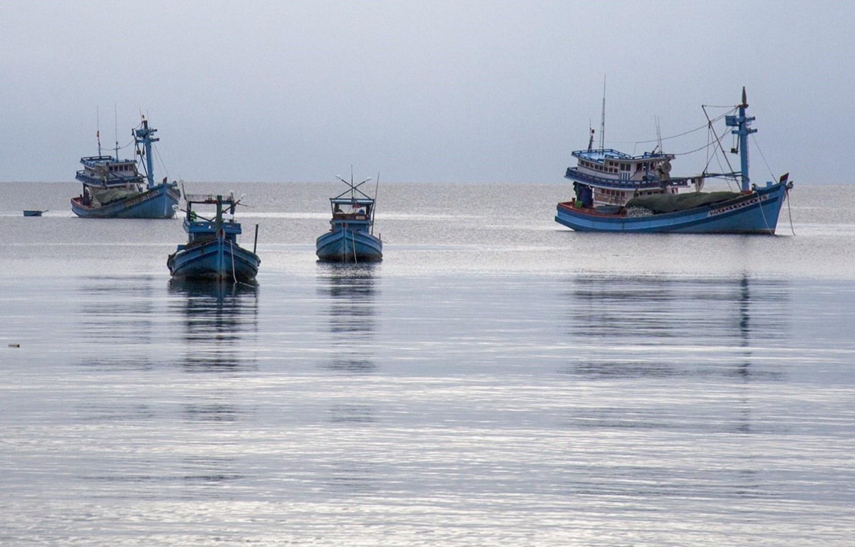 05 nguyên tắc xử lý thông tin về tàu cá VN vi phạm khai thác hải sản 