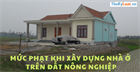 Mức phạt khi xây dựng nhà ở trên đất nông nghiệp