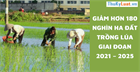 Giảm hơn 180 nghìn ha đất trồng lúa giai đoạn 2021 – 2025