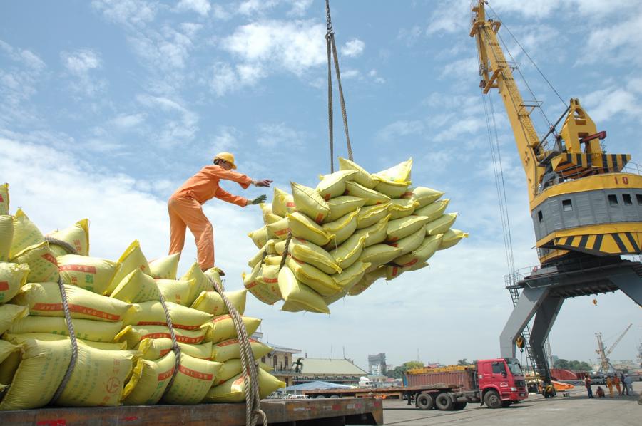 Sửa hồ sơ đề nghị chứng nhận chủng loại gạo thơm xuất khẩu sang EU