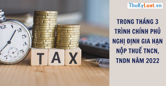Trong tháng 3 trình Chính phủ Nghị định gia hạn nộp thuế TNCN, TNDN năm 2022