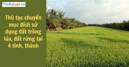 Procedures for changing the use purpose of rice and forest land in 4 provinces and cities