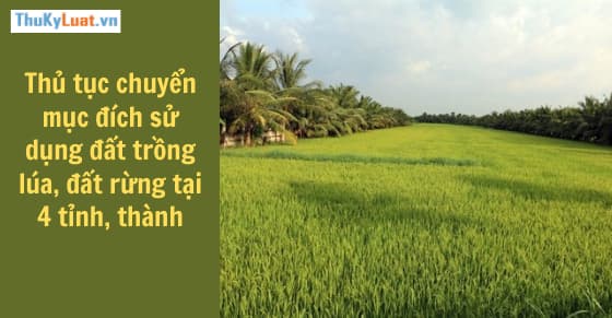 Thủ tục chuyển mục đích sử dụng đất trồng lúa, đất rừng tại 4 tỉnh, thành