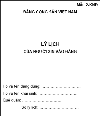 Guide to declare the background of applicants to the Communist Party of Vietnam  in 2022