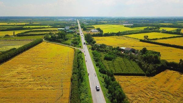 Finalizing regulations on land allocation, land lease, change of land use purpose in Vietnam