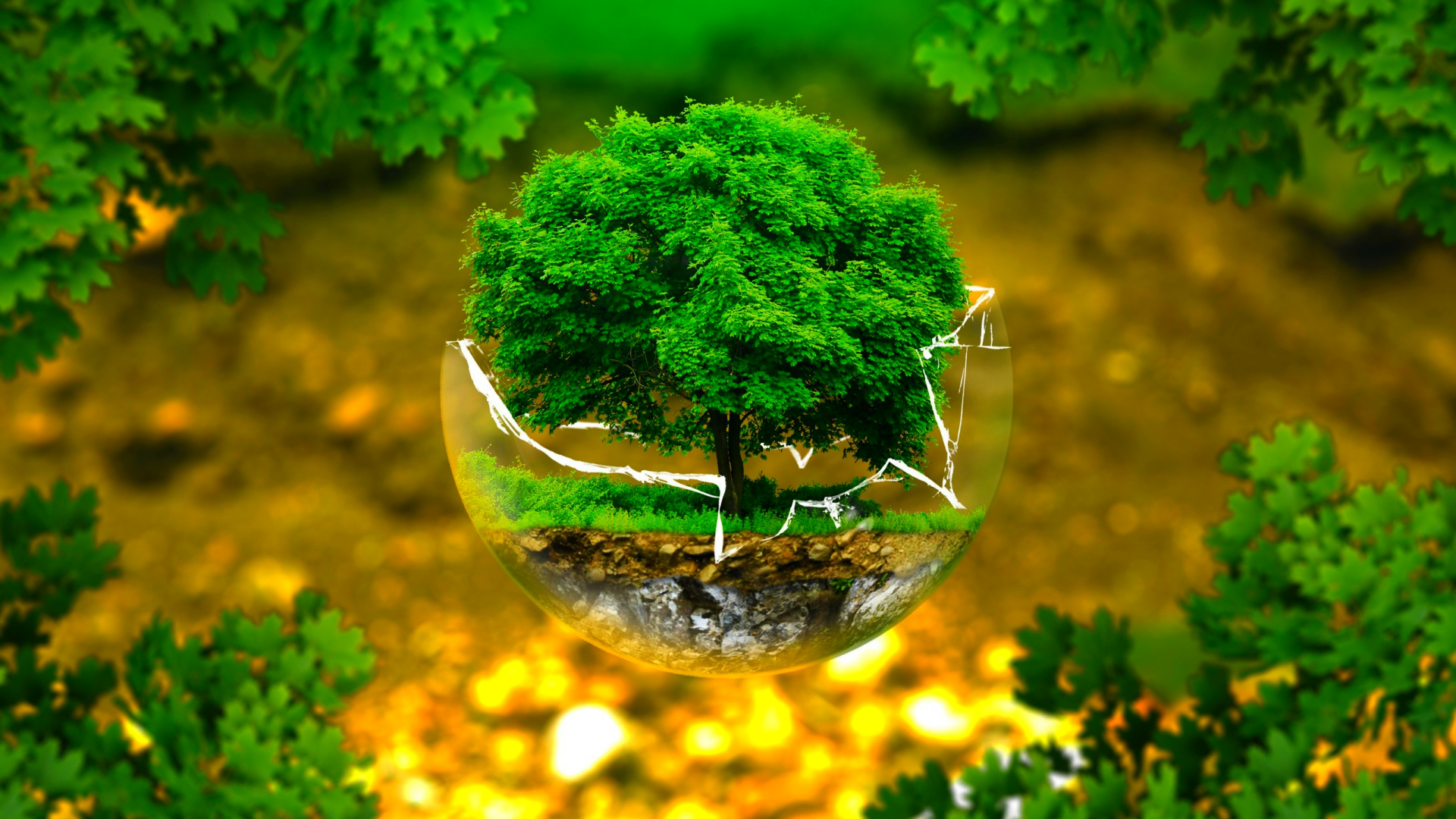 What is an Environmental license? Who must have an Environmental license in Vietnam?