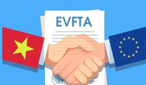 Contracts applicable to the procurement of goods within the scope of  EVFTA in Vietnam
