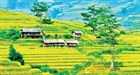 4 important information needed when build a house on agricultural land in Vietnam 