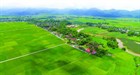 Additional cases of applying land price list, specific land price in Vietnam