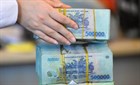 Vietnamese Government adjusts the plan for borrowing and paying public debt in 2021