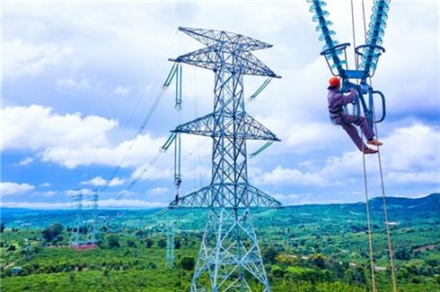 The power transmission line system must pay land rent in Vietnam 