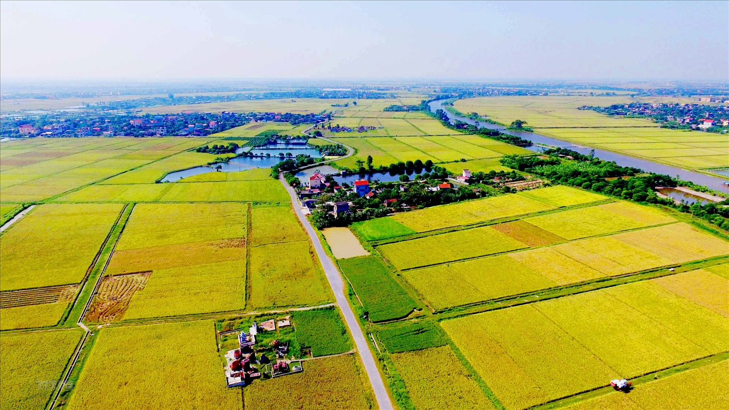 Regulations on land use levy payers in Vietnam