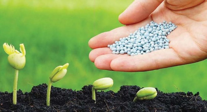What is fertilizer? Fertilizer production and trading requirements in Vietnam