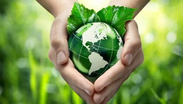 Who is subject to environmental protection tax in Vietnam?