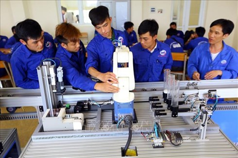 Types and organizational structure of vocational education institutions in Vietnam