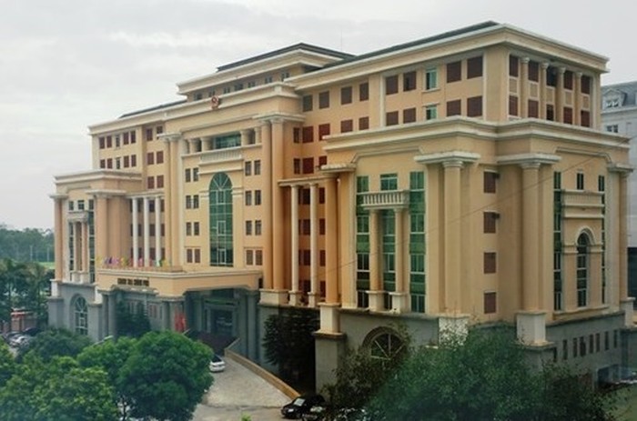 Organizational structure of the Government Inspectorate in Vietnam
