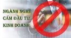 08 hoạt động đầu tư kinh doanh bị cấm theo Luật Đầu tư