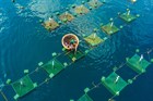 Regulations on allocation of marine aquaculture waters in Vietnam