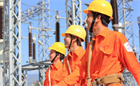 Theoretical and practical training content for electrical safety card issuance in Vietnam