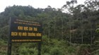 Providers (payees) of forest environmental services in Vietnam