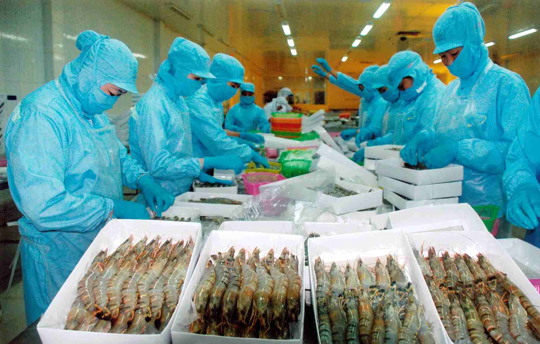 Amendments to standards for aquatic food safety inspectors for export in Vietnam