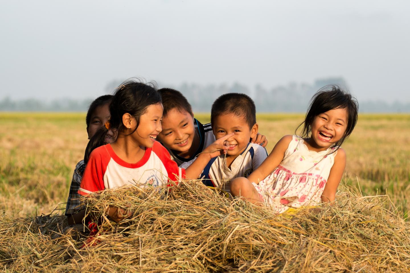 What are the levels of child protection in Vietnam?