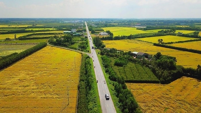 Cơ cấu tổ chức của Cục Đăng ký và Dữ liệu thông tin đất đai