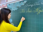 Standardized educational qualifications of teachers in Vietnam