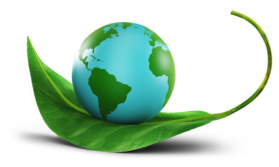 Tổng cục Thuế hướng dẫn giải pháp thu hồi nợ đọng thuế bảo vệ môi trường