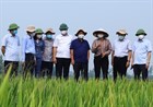 Determining the successful candidates in the promotion examination for professional titles of public employees in the Agriculture and Rural Development sector in Vietnam