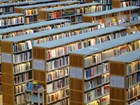 Thư viện là gì? Quy định về quyền và trách nhiệm của thư viện